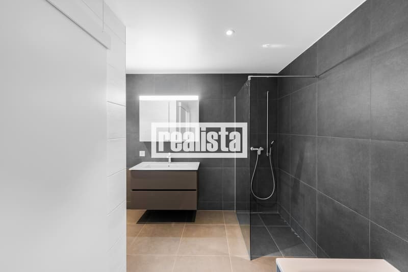 Penthouse de 5.5 pièces neuf et lumineux (6)