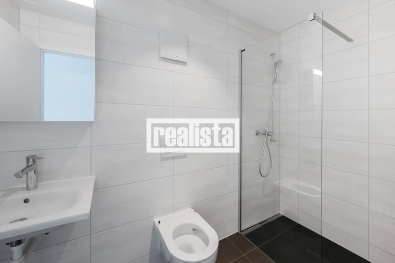 Penthouse de 5.5 pièces neuf et lumineux (10)