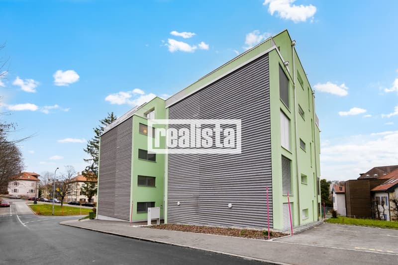 Penthouse de 5.5 pièces neuf et lumineux (10)