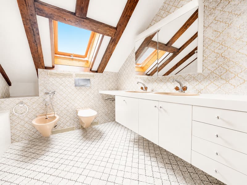 Appartement de 2,5 pièces avec vue (6)