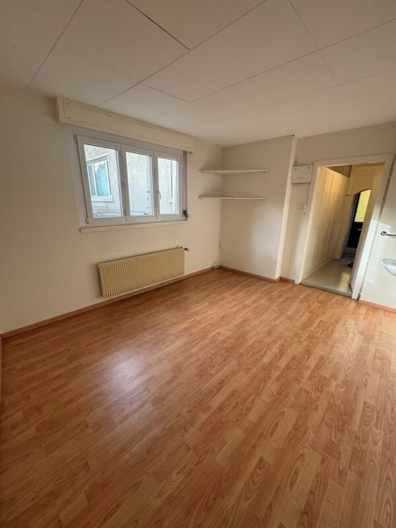 Appartement avec jardin et vue lac (6)