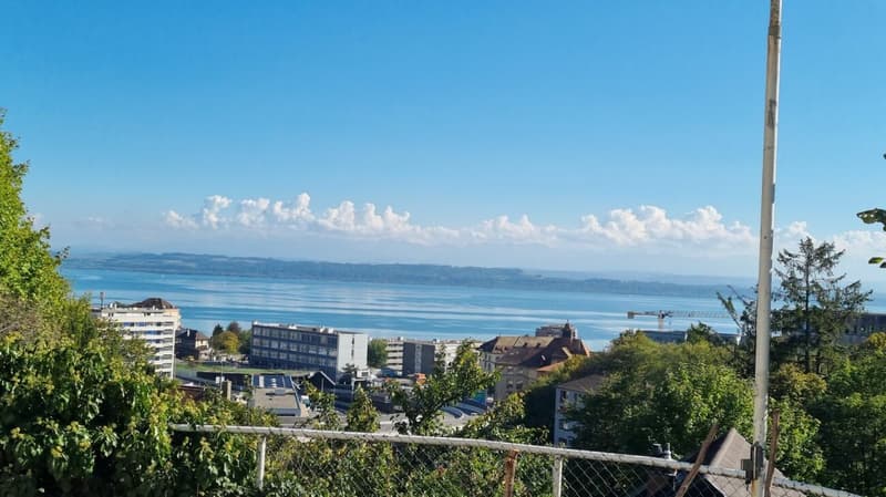 Appartement avec jardin et vue lac (1)