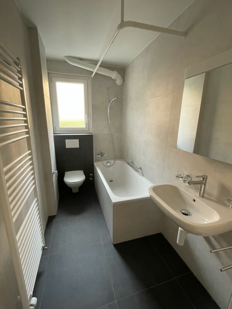 Appartement rénové de 3 pièces (5)