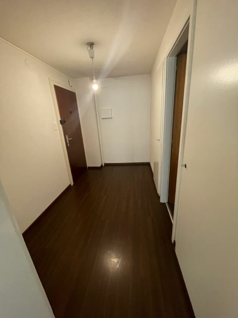 Studio lumineux avec vue à Neuchâtel (3)