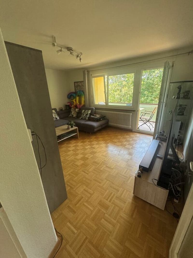 Appartement de 3 pièces (1)