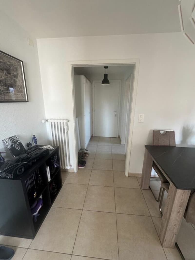 Appartement de 3 pièces (8)