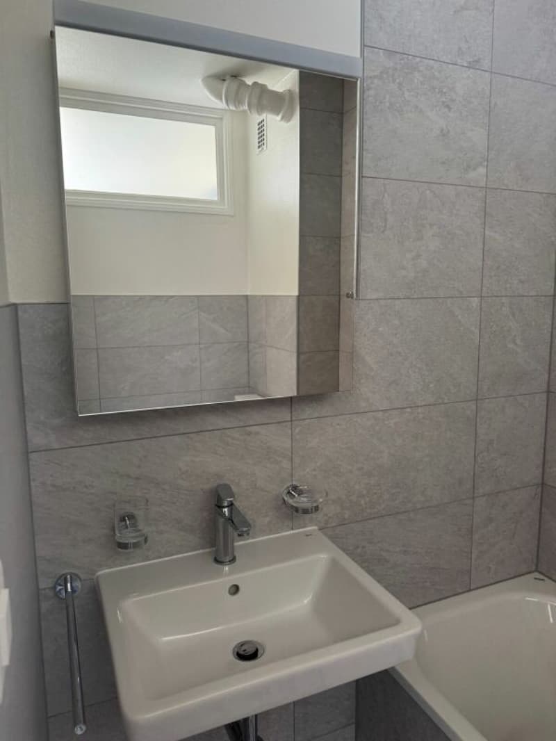 Appartement entièrement rénové (6)