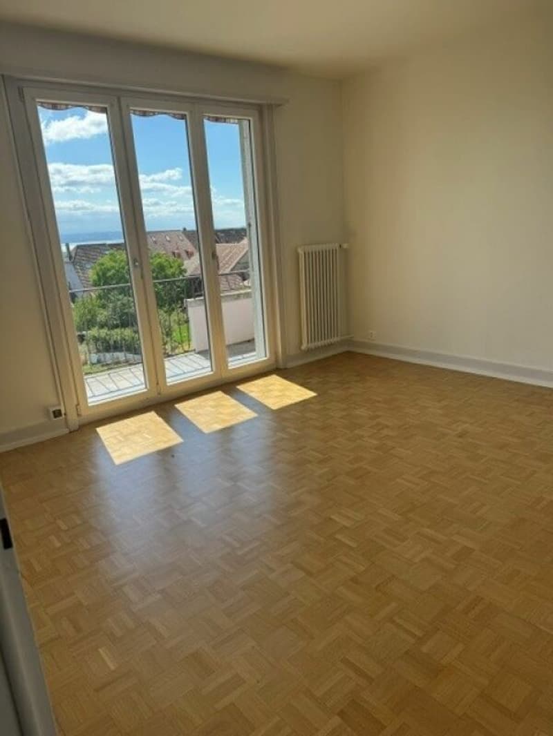 Appartement entièrement rénové (1)