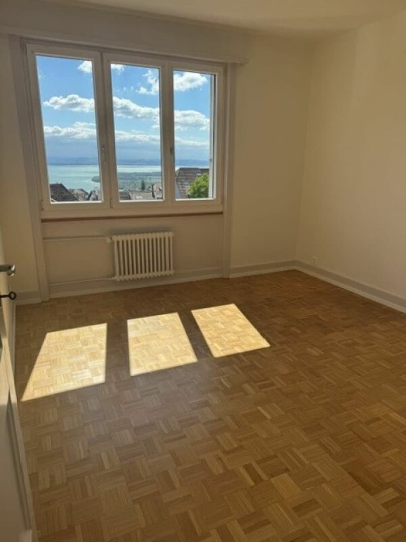 Appartement entièrement rénové (5)