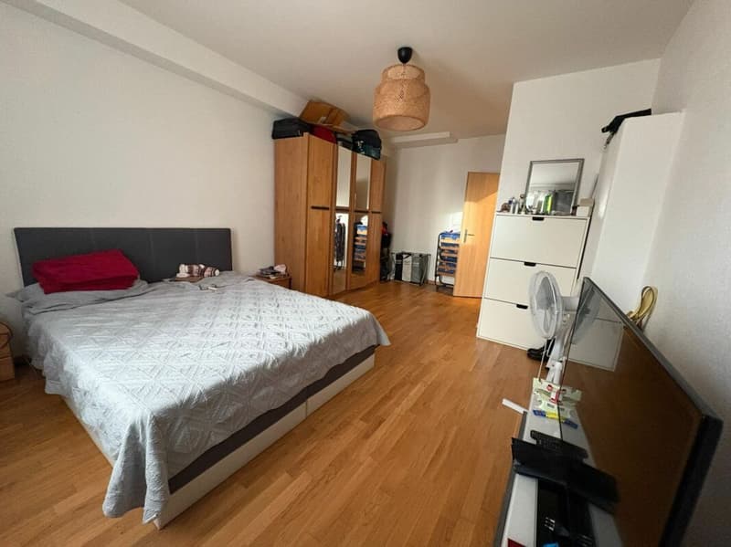 Appartement de 4.5 pièces (5)