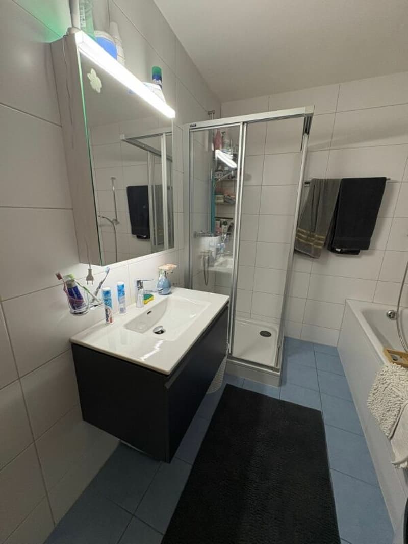 Appartement de 4.5 pièces (6)