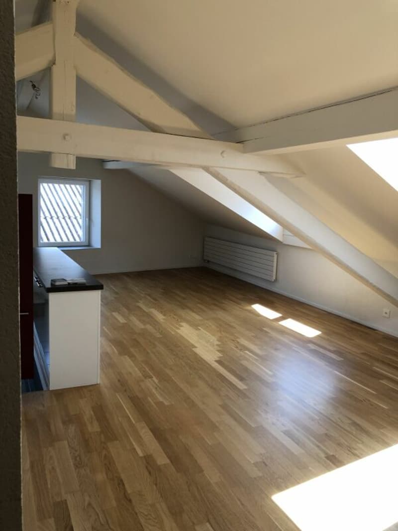 Appartement de 4.5 pièces avec cachet (3)