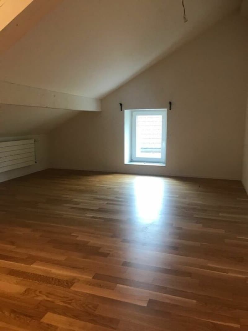 Appartement de 4.5 pièces avec cachet (6)