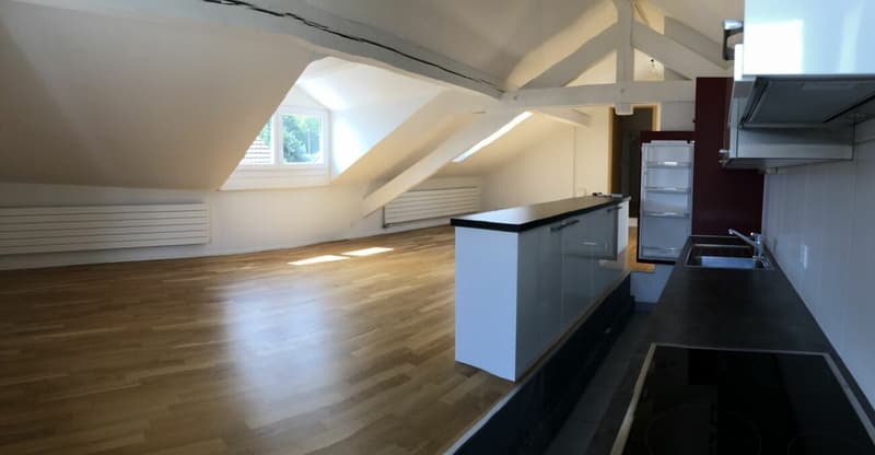 Appartement de 4.5 pièces avec cachet (2)