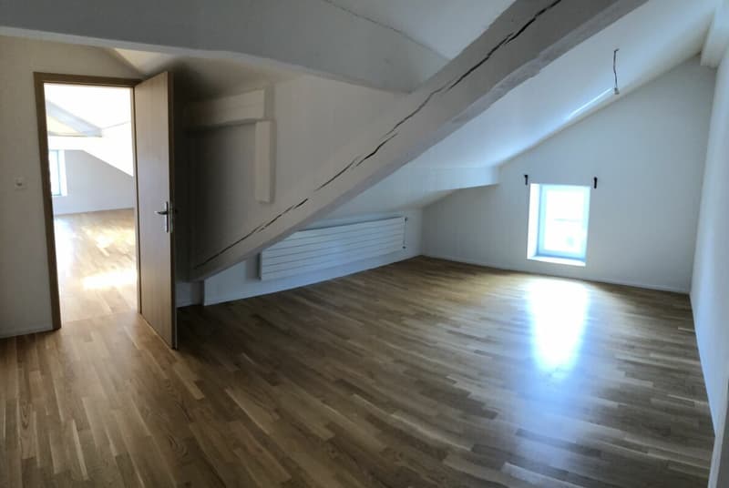 Appartement de 4.5 pièces avec cachet (4)
