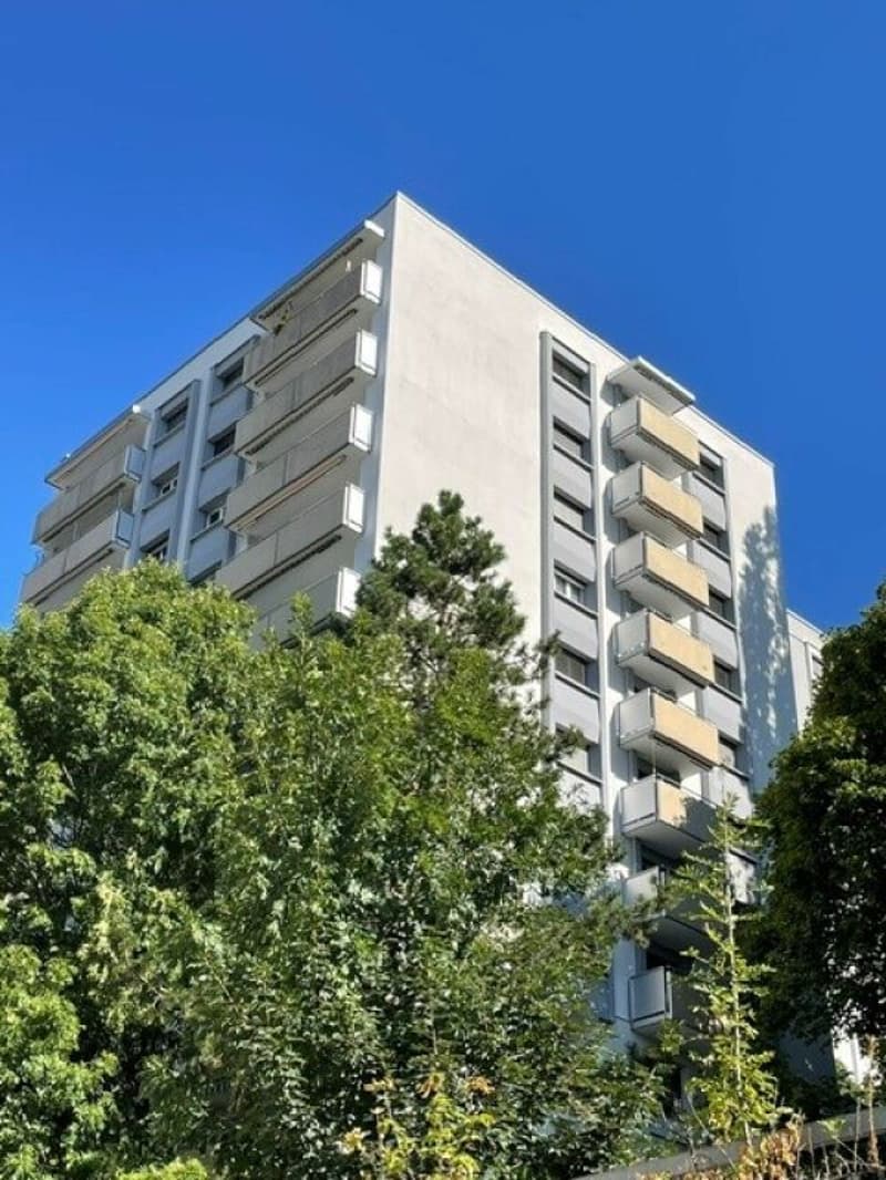 Appartement de 1.5 pièces (2)