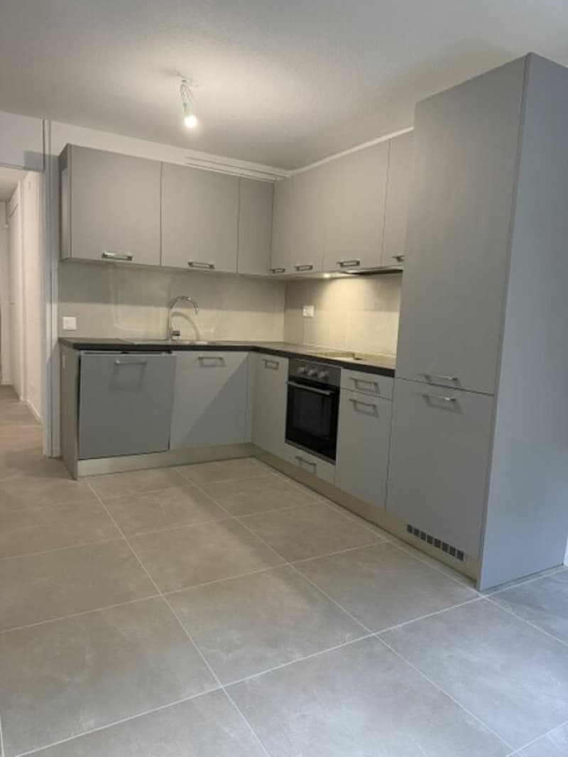 Appartement de 1.5 pièces (3)