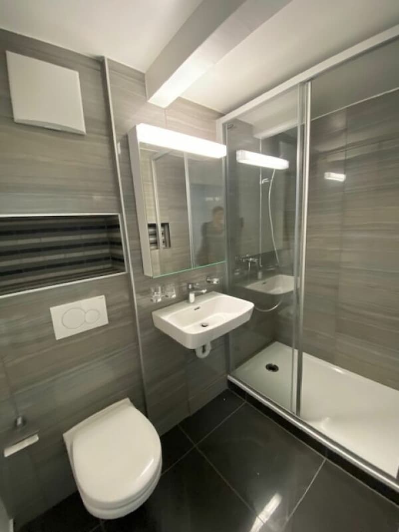 Spacieux appartement de 4.5 pièces (7)