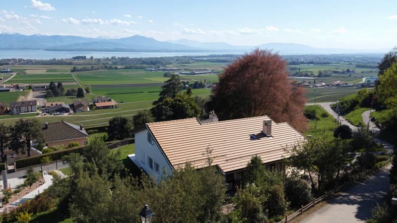 Breathtaking view from this individual house (2)