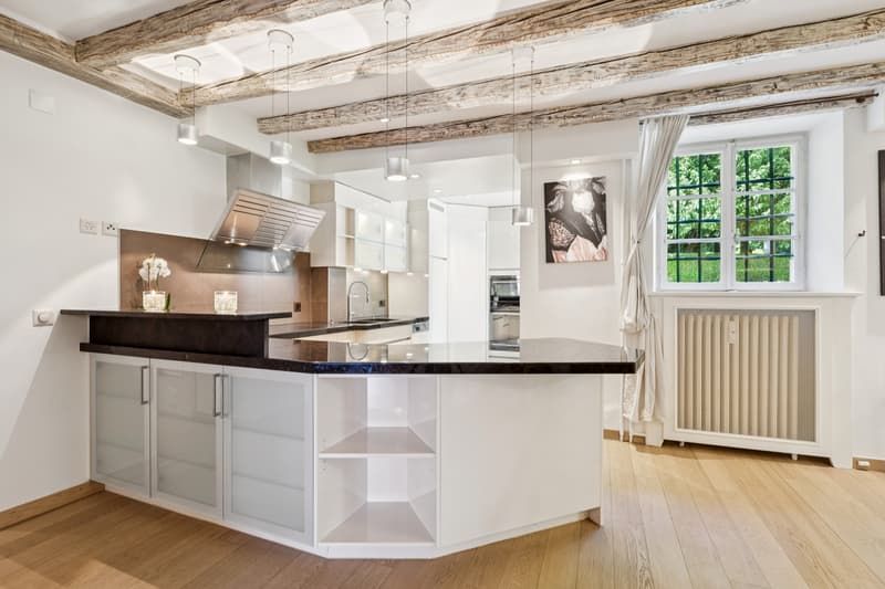 Château Barillet, Ground Floor Apartment - The Elegance of a Place (3)