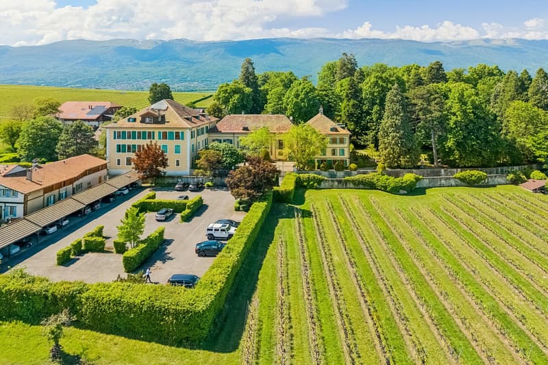 Château Barillet, Ground Floor Apartment - The Elegance of a Place (4)