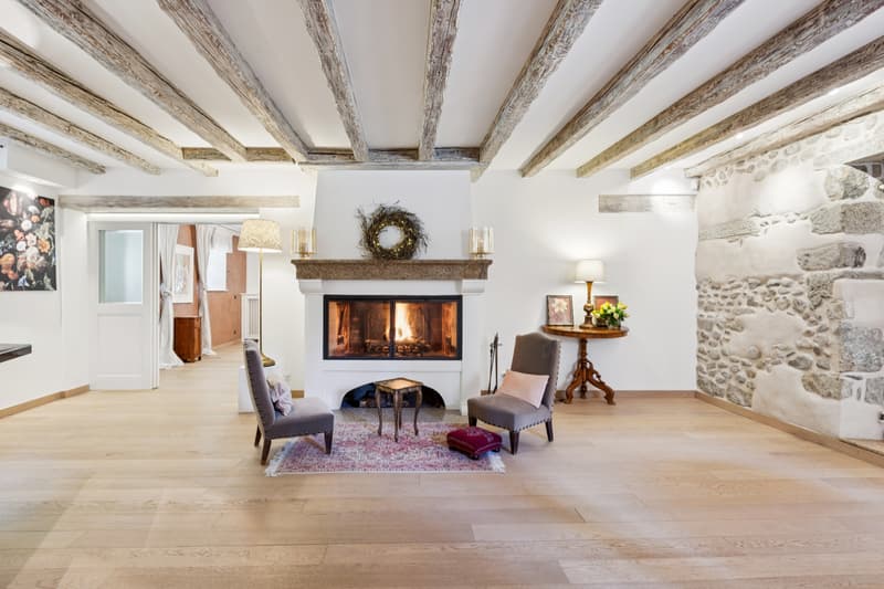 Château Barillet, Ground Floor Apartment - The Elegance of a Place (5)
