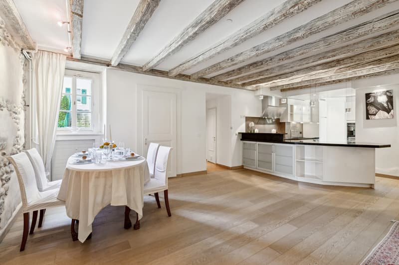 Château Barillet, Ground Floor Apartment - The Elegance of a Place (2)