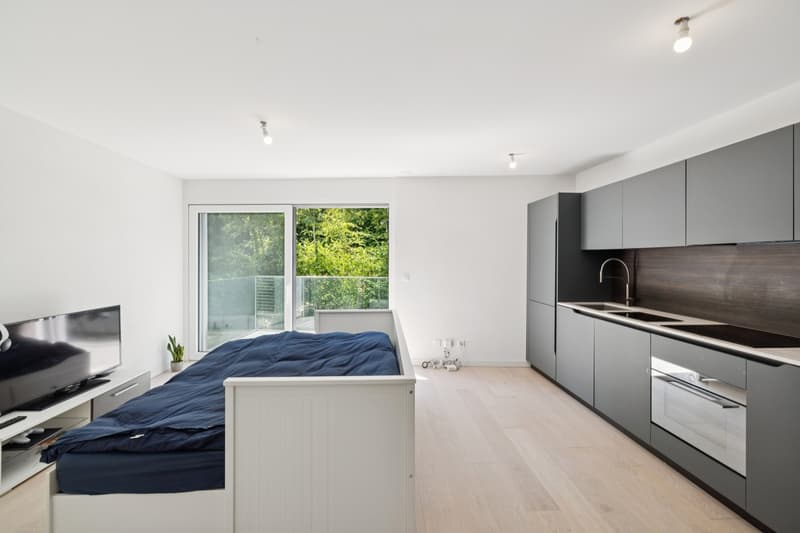 Modernes Studio (1)