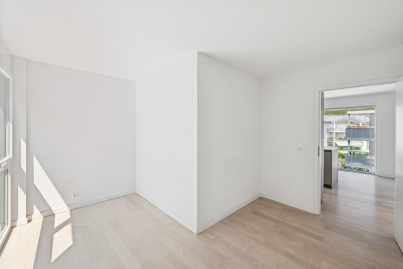 Apartment 4.5 rooms recent and modern (8)