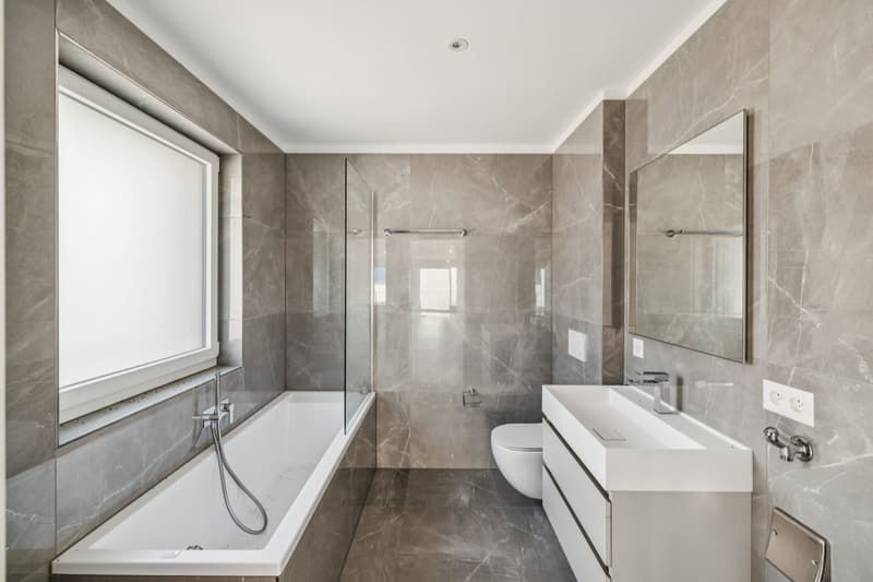 Appartement 4.5 pièces récent et moderne (5)