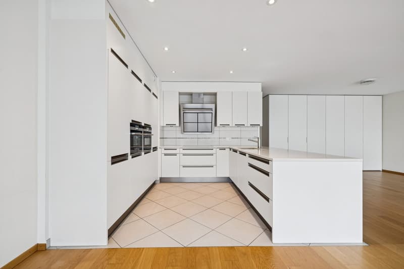 EXCLUSIVITE - CAROUGE - 144 M² DE LUMIÈRE ET D'ESPACE POUR TOUTE LA FA (4)
