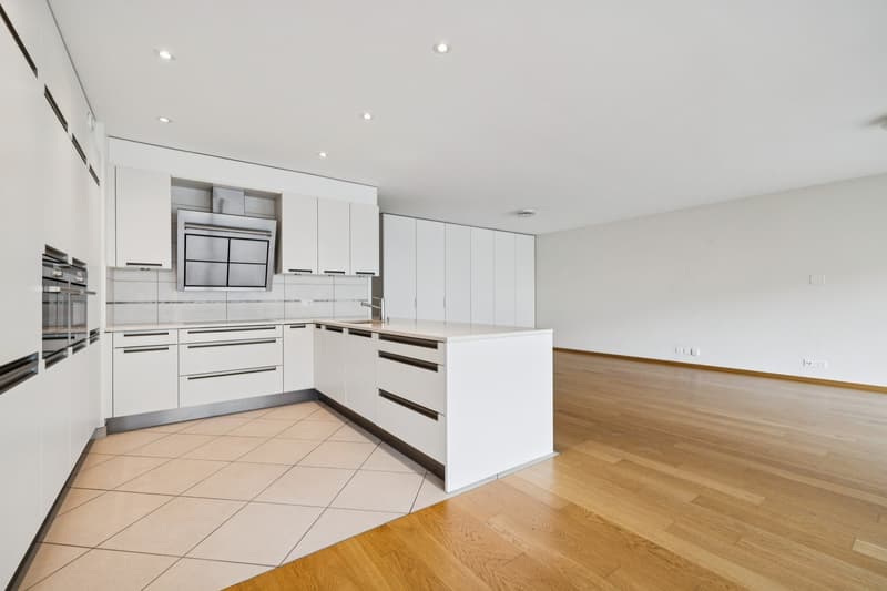 EXCLUSIVITE - CAROUGE - 144 M² DE LUMIÈRE ET D'ESPACE POUR TOUTE LA FA (5)