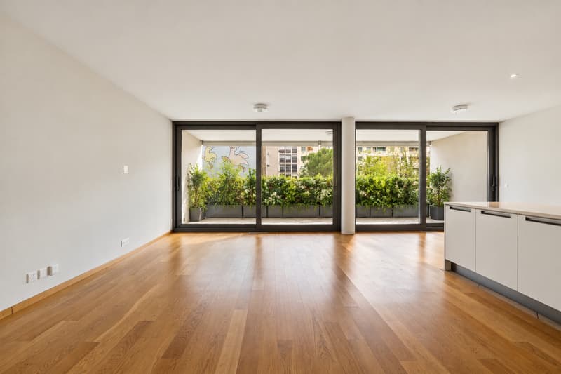 CAROUGE - 134 M² DE LUMIÈRE ET D'ESPACE POUR TOUTE LA FAMILLE (1)