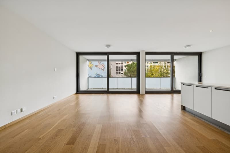CAROUGE - 134 M² DE LUMIÈRE ET D'ESPACE POUR TOUTE LA FAMILLE (3)