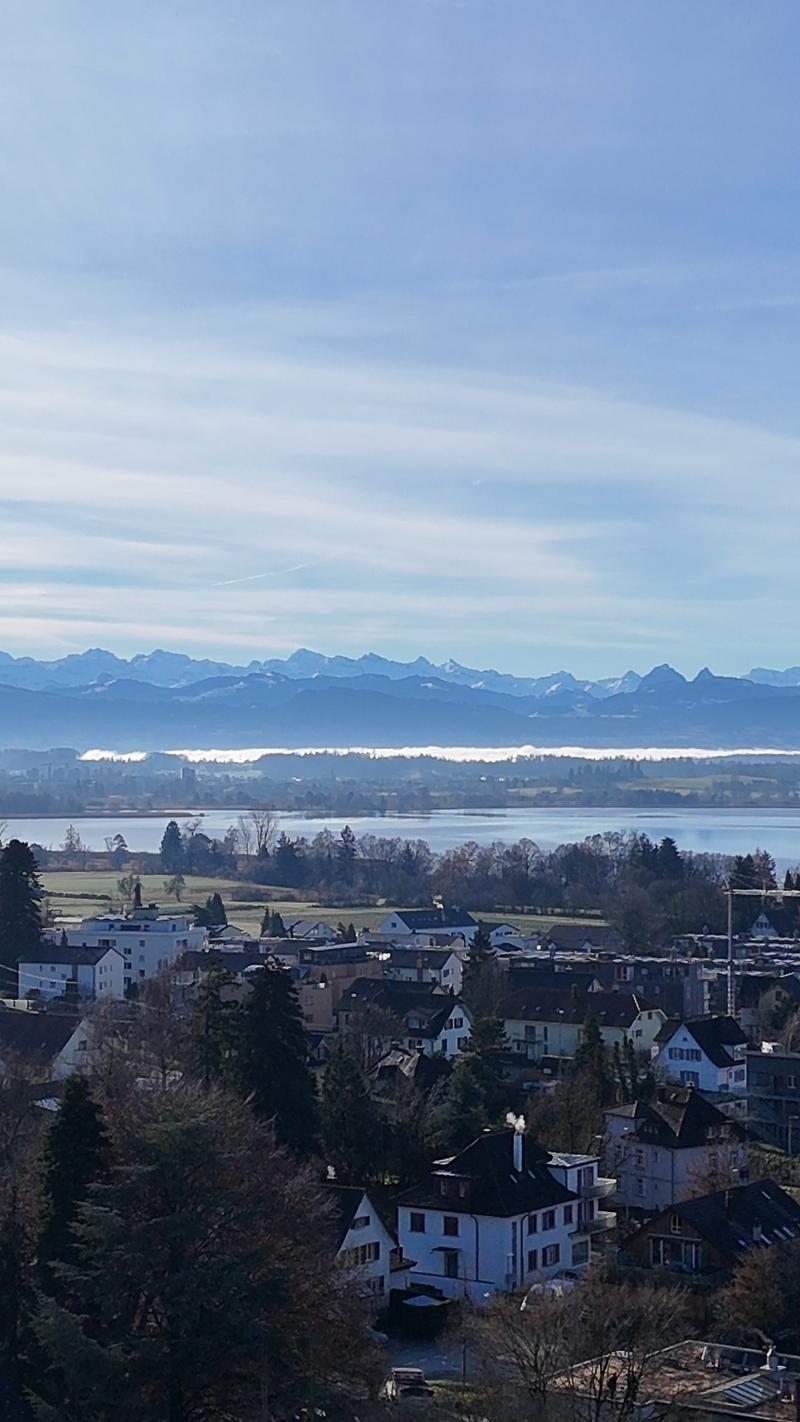 Exclusive 7.5-room single-family house in Pfäffikon ZH (1)