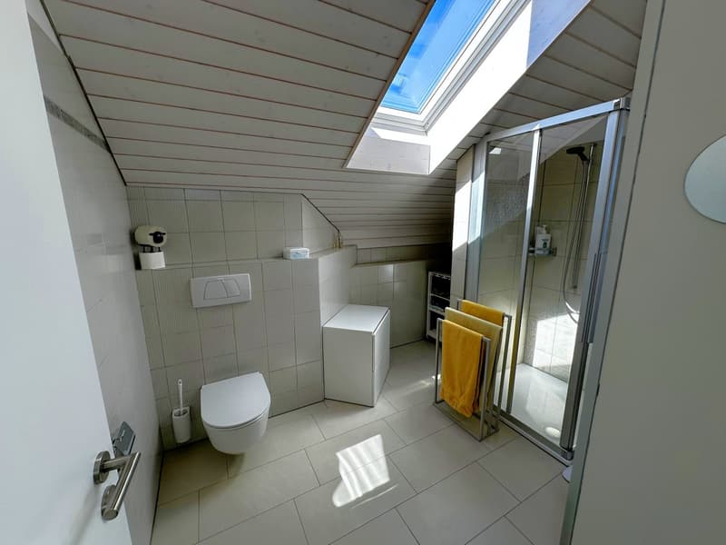 Spacious single-family house with breathtaking views in Herlisberg (8)