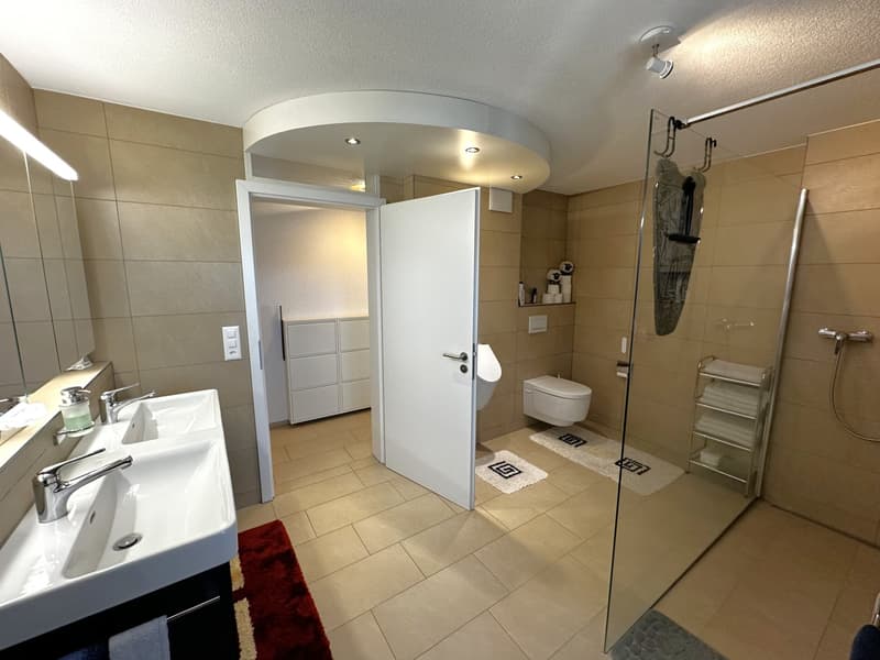 Spacious single-family house with breathtaking views in Herlisberg (7)