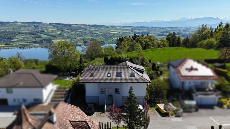 Spacious single-family house with breathtaking views in Herlisberg (1)