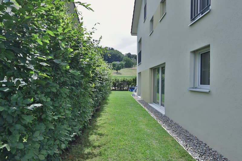 Maison mitoyenne moderne de 6,5 pièces avec jardin de 146 m2 à Waltenschwil (2)