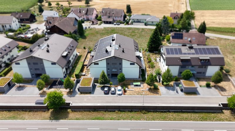 "Dis neue Dihei" 3.5 Zimmer-Wohnung in Waltenschwil (1)