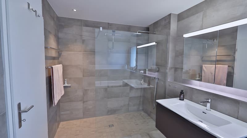 "Dis neue Dihei" 3.5 Zimmer-Wohnung in Waltenschwil (5)