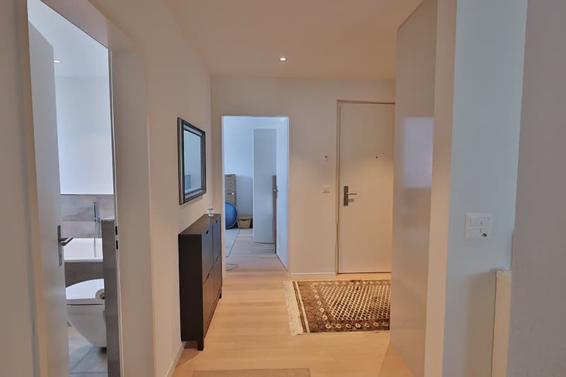 "Dis neue Dihei" 3.5 Zimmer-Wohnung in Waltenschwil (9)