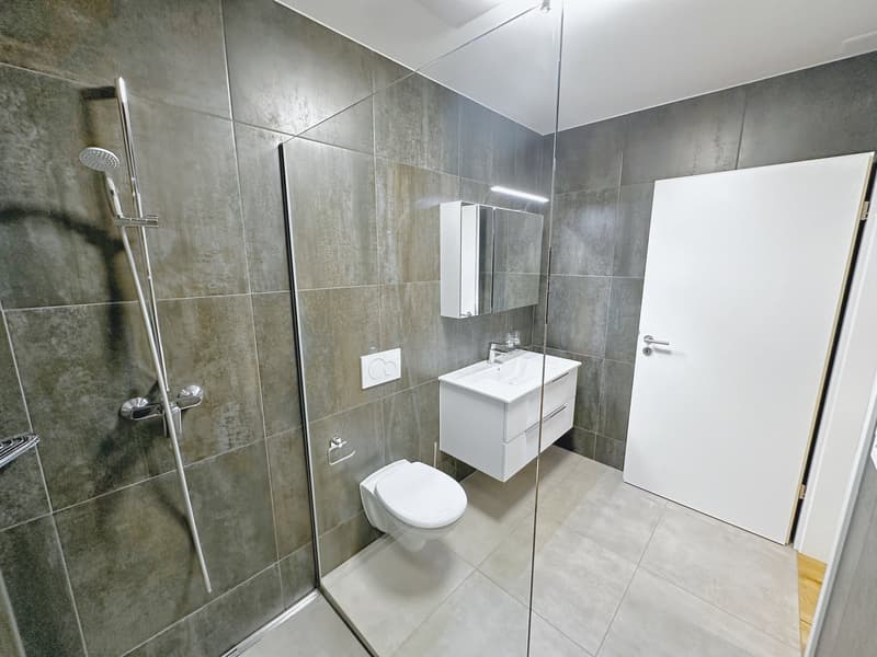Exklusive 2.5 Zimmer-Wohnung in Schupfart (6)