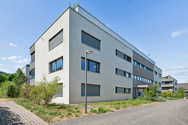 4.5-Zimmer-Wohnung mit Balkon in Birr kaufen (12)