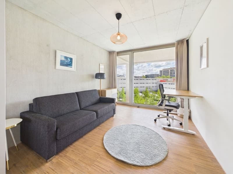 Helle 4.5-Zi.-Maisonette mit Aussenbereich in Zürich mieten (10)
