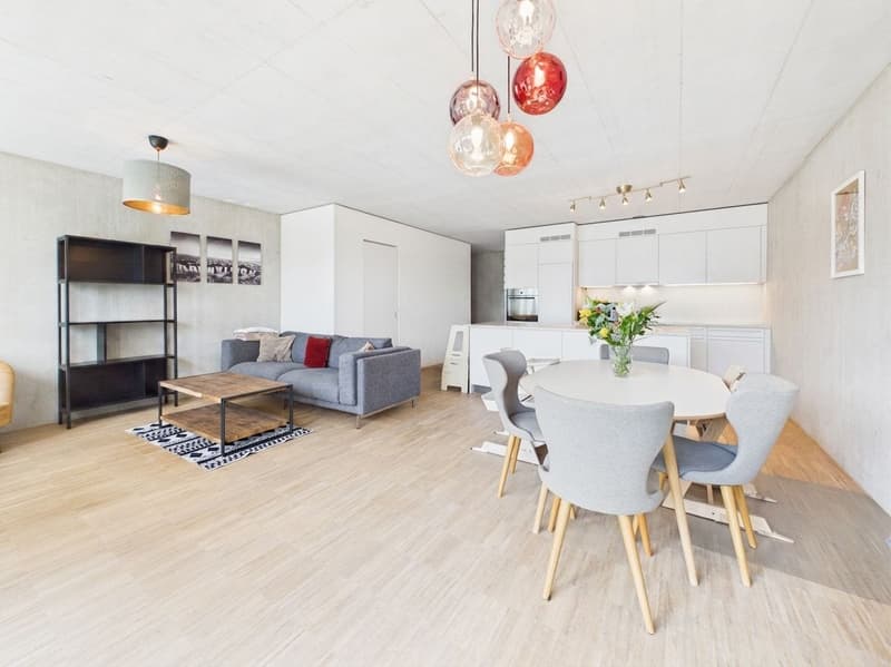 Helle 4.5-Zi.-Maisonette mit Aussenbereich in Zürich mieten (1)