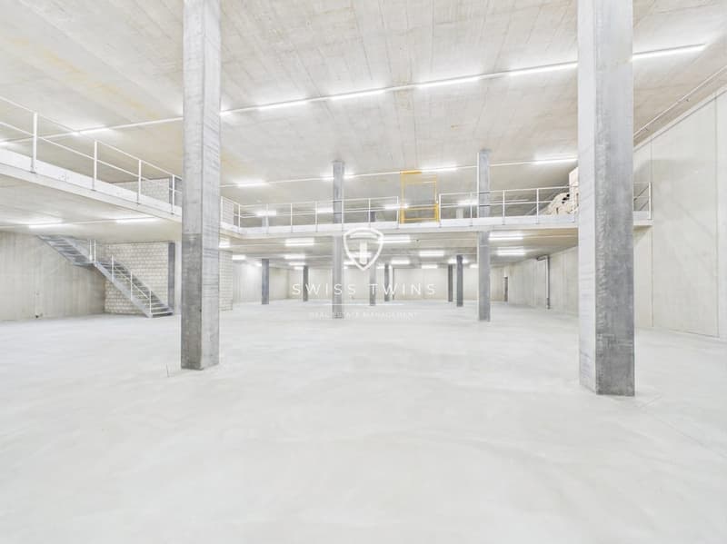 Neubau: flexible Gewerbe- & Büroflächen in Hochdorf mieten (2)