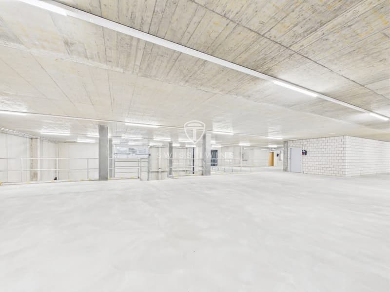 Neubau: flexible Gewerbe- & Büroflächen in Hochdorf mieten (4)