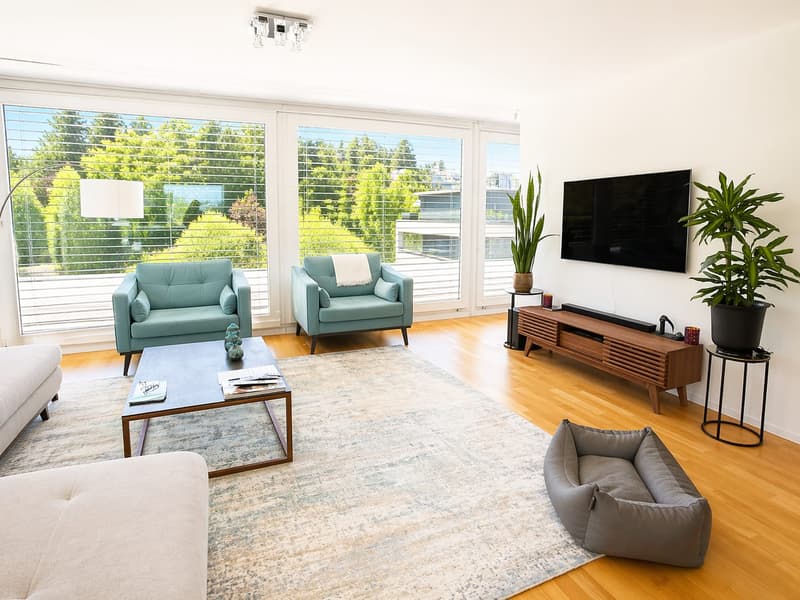 Exklusive 4.5-Zi.-Attika mit Panorama-Seesicht & 150 m² Dachterrasse | Wädenswil (7)