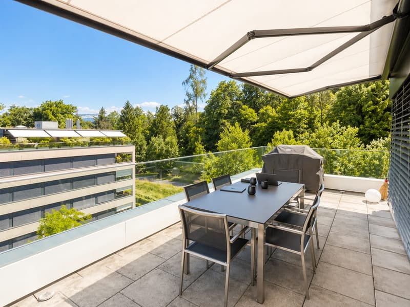 Exklusive 4.5-Zi.-Attika mit Panorama-Seesicht & 150 m² Dachterrasse | Wädenswil (12)